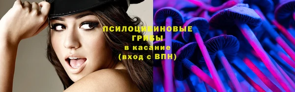 ПСИЛОЦИБИНОВЫЕ ГРИБЫ Алзамай