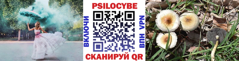 Псилоцибиновые грибы мухоморы мега tor Дегтярск