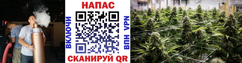 где найти наркотики  Дегтярск  МАРИХУАНА Amnesia 